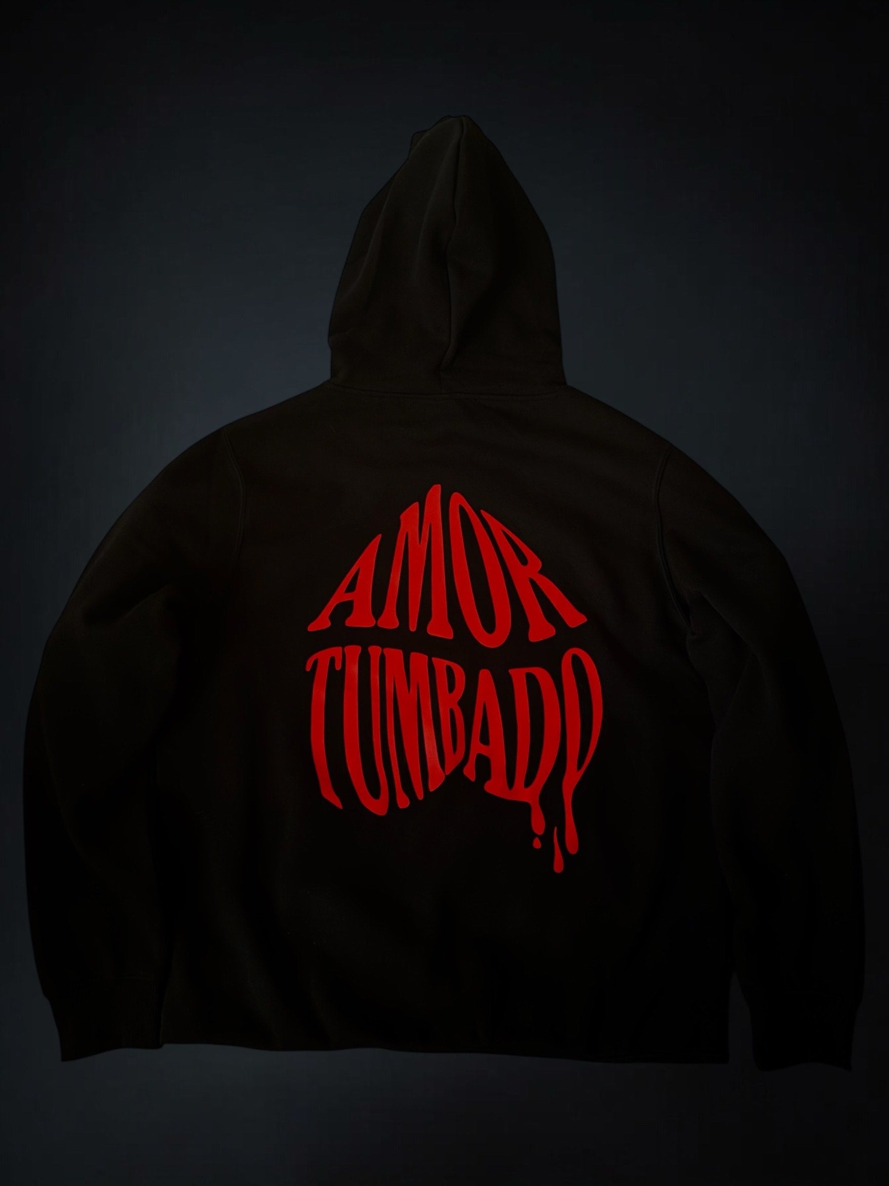 "DLV" hoodie